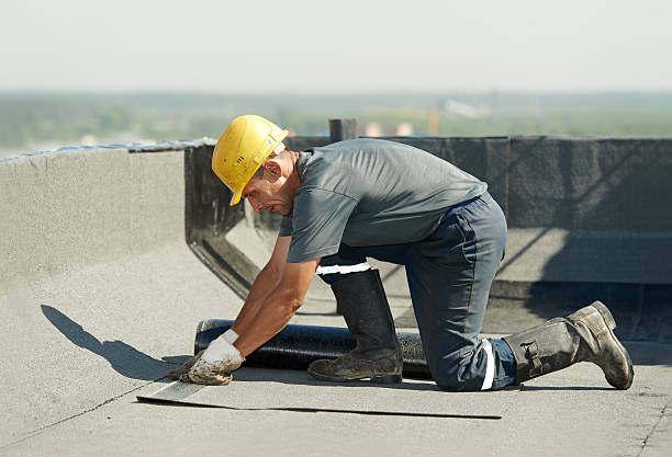 Best Cellulose Insulation in Oak Hills, CA